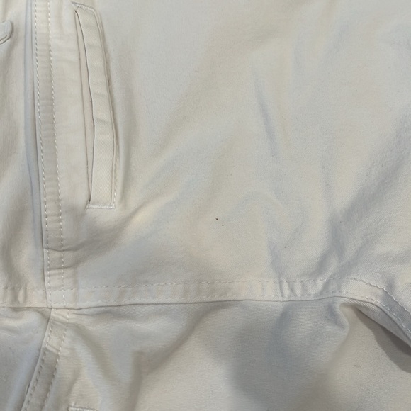 Ann Taylor capri - Picture 5 of 5